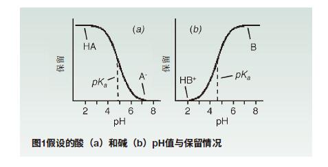 菲罗门