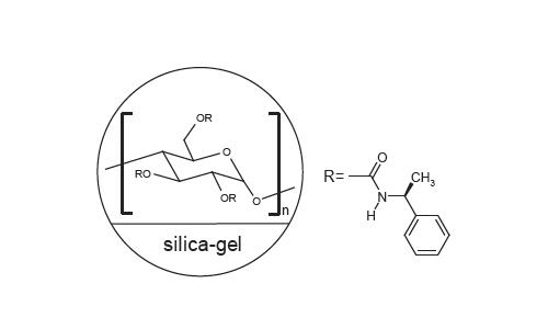 FLM Chiral NS(2)