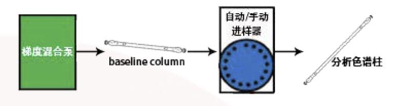 FLM