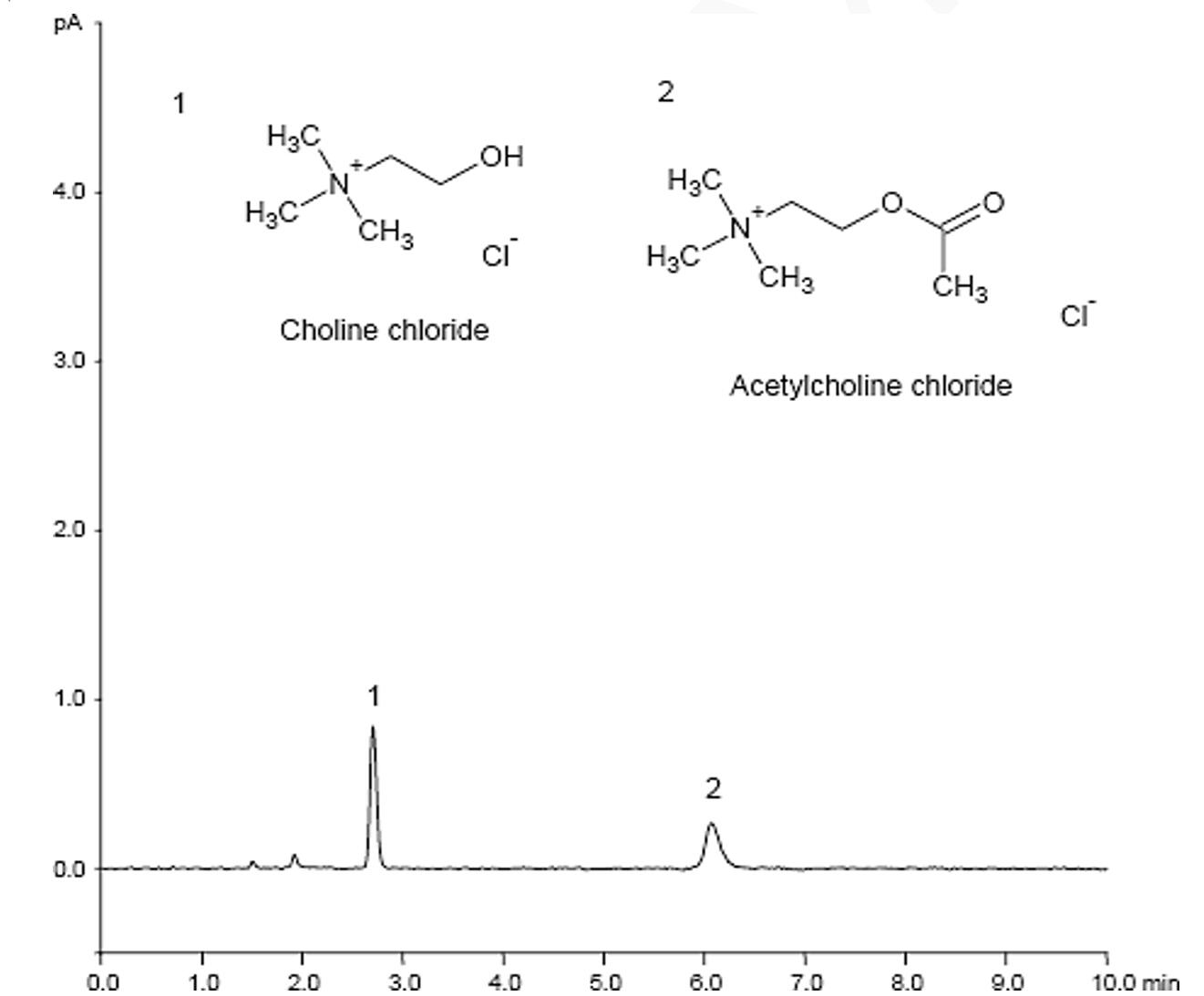 菲罗门液相色谱柱对乙酰胆碱和胆碱的分析