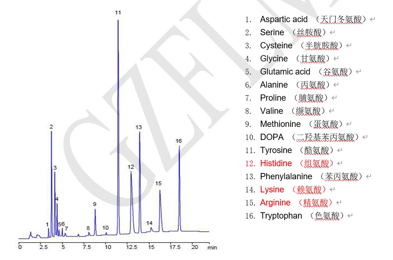 菲罗门液相色谱柱在高效液相中分析未衍生的16种氨基酸